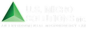 Deanna Kiska – New President of U.S. Micro-Solutions