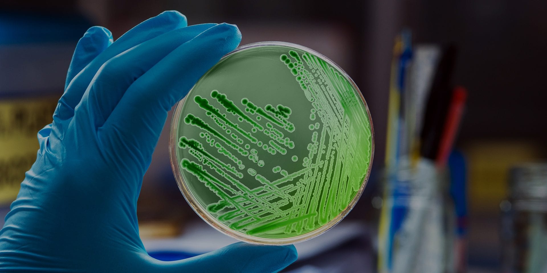 U.S. Micro Solutions, Inc, Environmental Microbiology