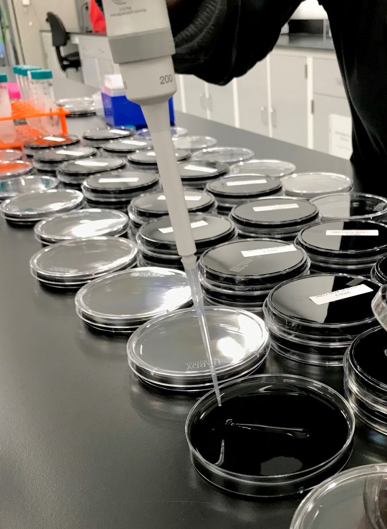 Testing for Legionella, the bacterial cause of Legionnaires’ Disease