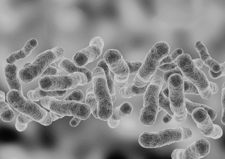 Legionella-Black&White