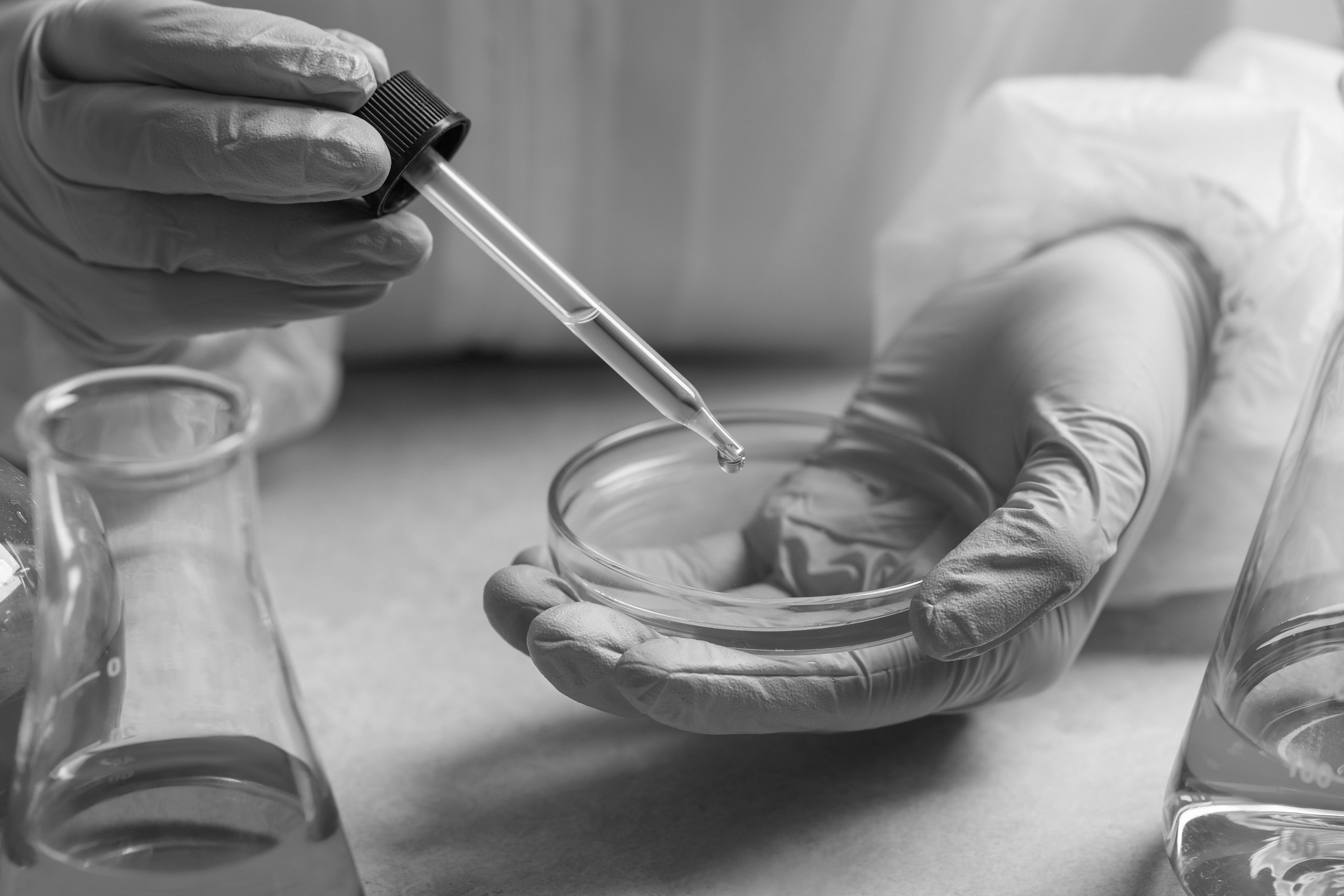 Scientist dripping liquid from pipette into petri dish at table, closeup